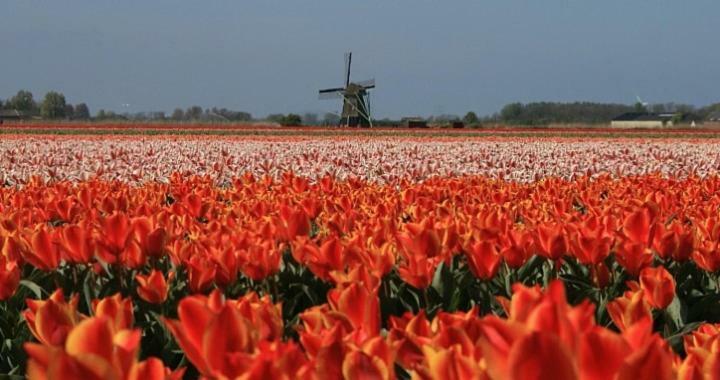 Vakantieverblijf Aan De Dijk Hippolytushoef Exterior foto
