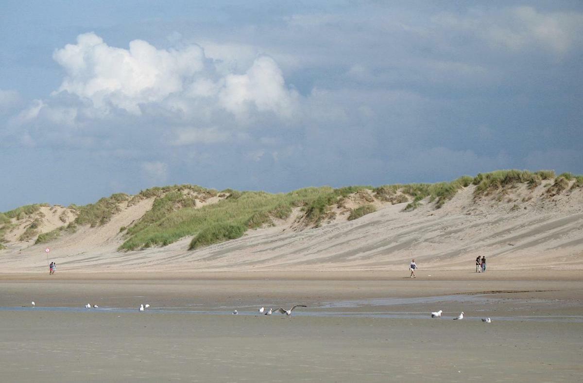 Vakantieverblijf Aan De Dijk Hippolytushoef Exterior foto